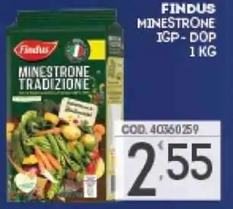 Eurocash FINDUS MINESTRONE IGP-DOP 1 KG offerta