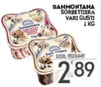 Eurocash SAMMONTANA SORBETTIERA VARI GUSTI 1 KG offerta