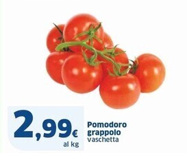Sigma Pomodoro grappolo offerta