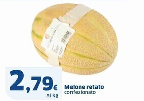 Sigma Melone retato offerta