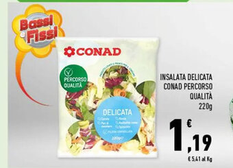 Conad INSALATA DELICATA CONAD PERCORSO QUALITÀ 220 g offerta