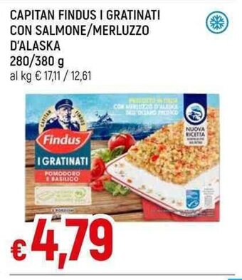 Galassia CAPITAN FINDUS I GRATINATI CON SALMONE/MERLUZZO D'ALASKA 280/380 g offerta