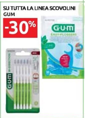 Carrefour SU TUTTA LA LINEA SCOVOLINI GUM offerta