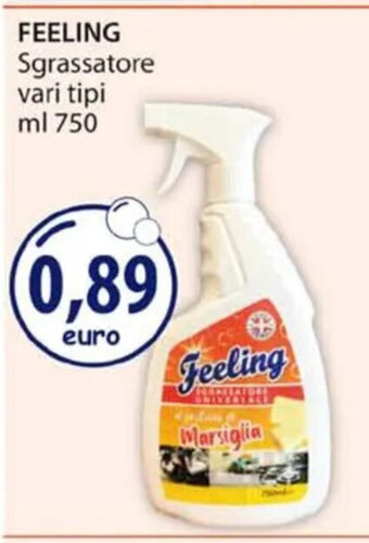 Acqua & Sapone FEELING Sgrassatore vari tipi ml 750 offerta