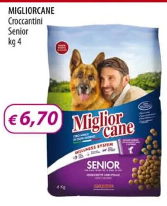 Acqua & Sapone MIGLIORCANE Croccantini Senior kg 4 offerta