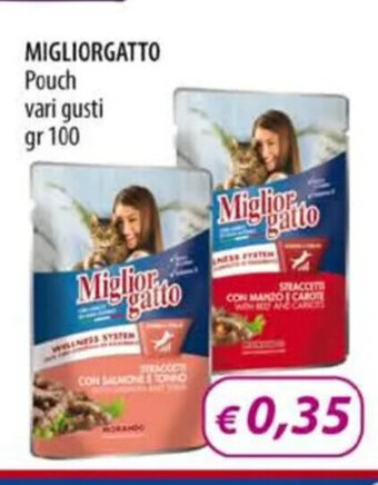 Acqua & Sapone MIGLIORGATTO Pouch vari gusti gr 100 offerta