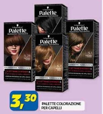 Risparmio Casa PALETTE COLORAZIONE PER CAPELLI offerta