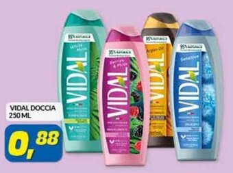 Risparmio Casa VIDAL DOCCIA 250 ML offerta