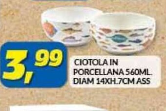 Risparmio Casa CIOTOLA IN PORCELLANA 560ML. DIAM 14XH.7CM ASS offerta