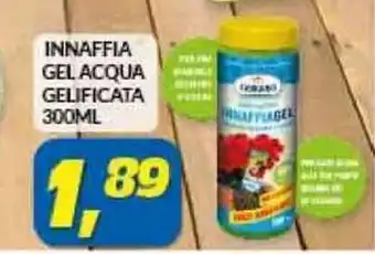 Risparmio Casa INNAFFIA GEL ACQUA GELIFICATA 300ML offerta