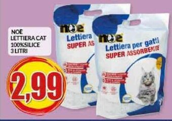 Risparmio Casa NOE LETTIERA CAT 100% SILICE 3 LITRI offerta