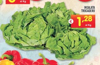 Centro Commerciale Discount INSALATA TROCADERO offerta