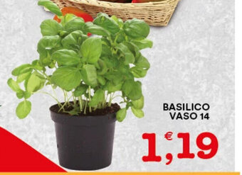 Gecop BASILICO VASO 14 offerta