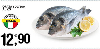 Gecop ORATA 600/800 AL KG offerta