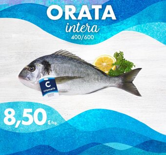 Iper Tosano ORATA intera 400/600 offerta