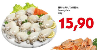 MEGA SEPPIA PULITA MEDIA decongelata offerta