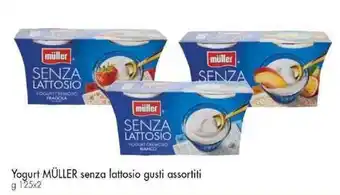 Famila Yogurt MÜLLER senza lattosio gusti assortiti g 125x2 offerta