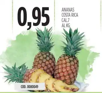 Carico Cash & Carry Costa Rica Ananas Cal.7 offerta