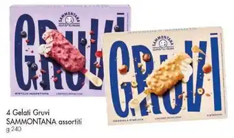 Famila 4 Gelati Gruvi SAMMONTANA assortiti g 240 offerta