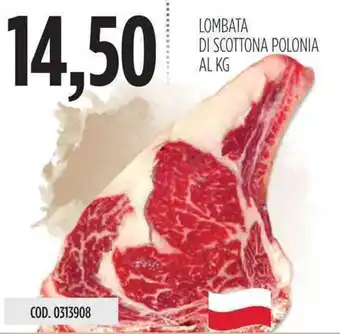 Lombata di Scottona Polonia