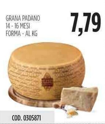 Grana Padano 14-16 Mesi Forma