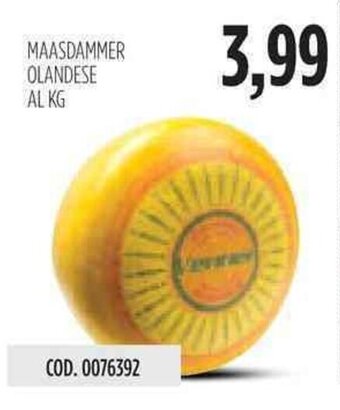Maasdammer Olandese
