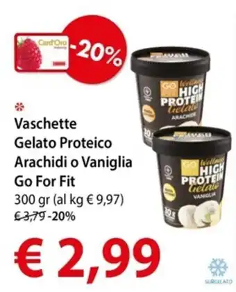 Vaschette Gelato Proteico Arachidi o Vaniglia Go For Fit 300 gr
