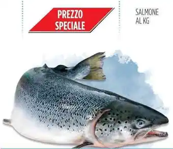 Carico Cash & Carry Salmone offerta