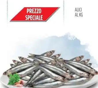 Carico Cash & Carry Alici offerta