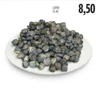 Carico Cash & Carry Lupini offerta