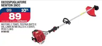 Bricofer DECESPUGLIATORE NEWTON 26CC offerta