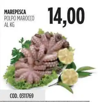 Carico Cash & Carry Marepesca Polpo Marocco offerta