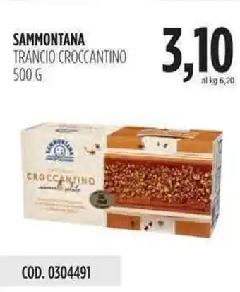 Carico Cash & Carry Sammontana Trancio Croccantino 500g offerta