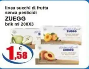 linea succhi di frutta senza pesticidi ZUEGG brik ml 200X3