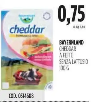 Carico Cash & Carry Bayernland Cheddar A Fette Senza Lattosio 100g offerta