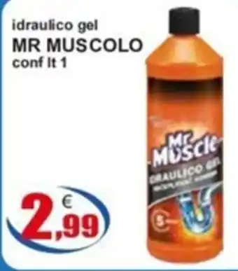 idraulico gel MR MUSCOLO conf It 1