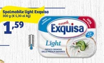 In'S Mercato Spalmabile light Exquisa 300 g offerta