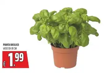 Coop PIANTA BASILICO VASO DA 18 CM offerta