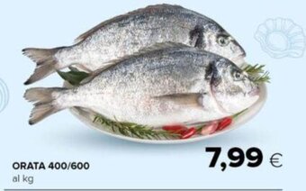 Oasi ORATA 400/600 al kg offerta