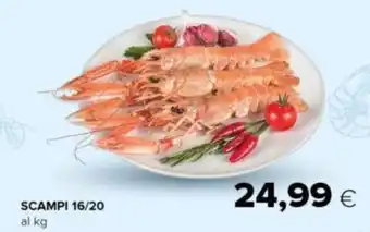 Oasi SCAMPI 16/20 al kg offerta