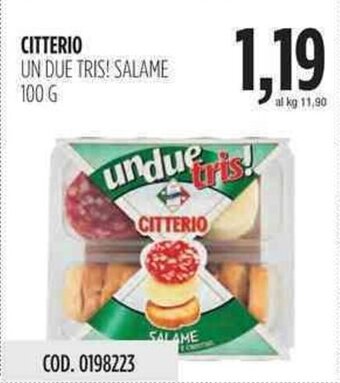 Carico Cash & Carry Citterio Un Due Tris! Salame 100g offerta