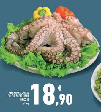 Conad Superstore POLPO ARRICCIATO FRESCO al kg offerta