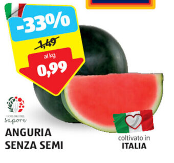 ALDI ANGURIA SENZA SEMI offerta