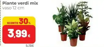 Coop Piante Verdi Mix Vaso 12 Cm offerta