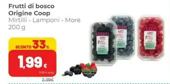 Coop Coop Frutti Di Bosco 200 G offerta
