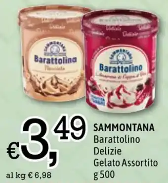 Famila SAMMONTANA Barattolino Delizie Gelato Assortito g 500 offerta