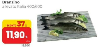 Coop Branzino offerta
