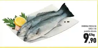 Conad Ombrina Fresca offerta