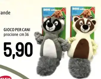 Famila GIOCO PER CANI procione cm 36 offerta