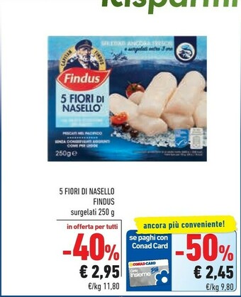Conad Findus 5 Fiori Di Nasello 250 G(ml) offerta